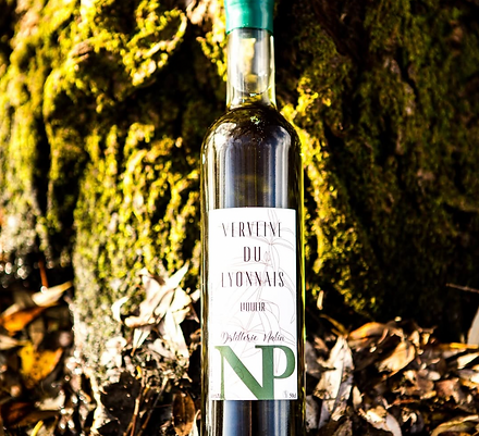 Capture d’écran 2025-08-07 à 13.52.47.png