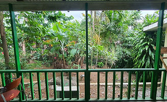 Lynns Guest House Rear Porch 002.jpg