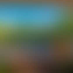 Discover Authentic Samoan Culture at Lynn's Getaway Hotels