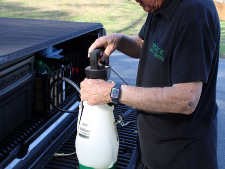 tick control treatment services
