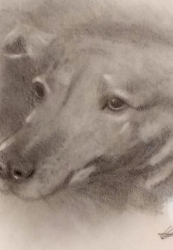 Raven Traditional 9''x11''December242019