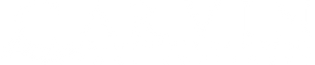 Carvin Logo.png