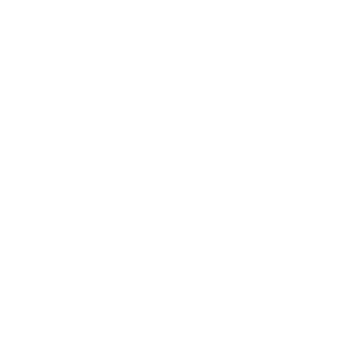 visa.png