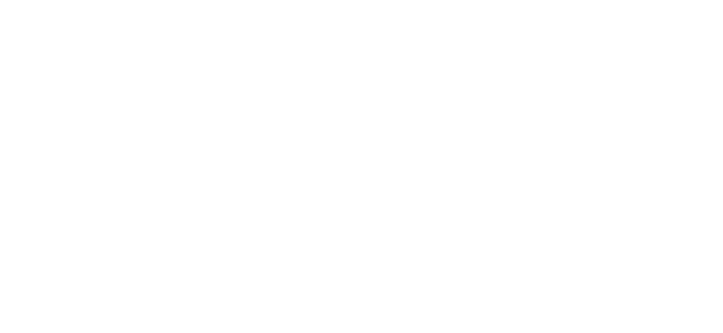Outline 1.png