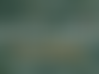 Ways Local Marketing Agencies Help Their Communities