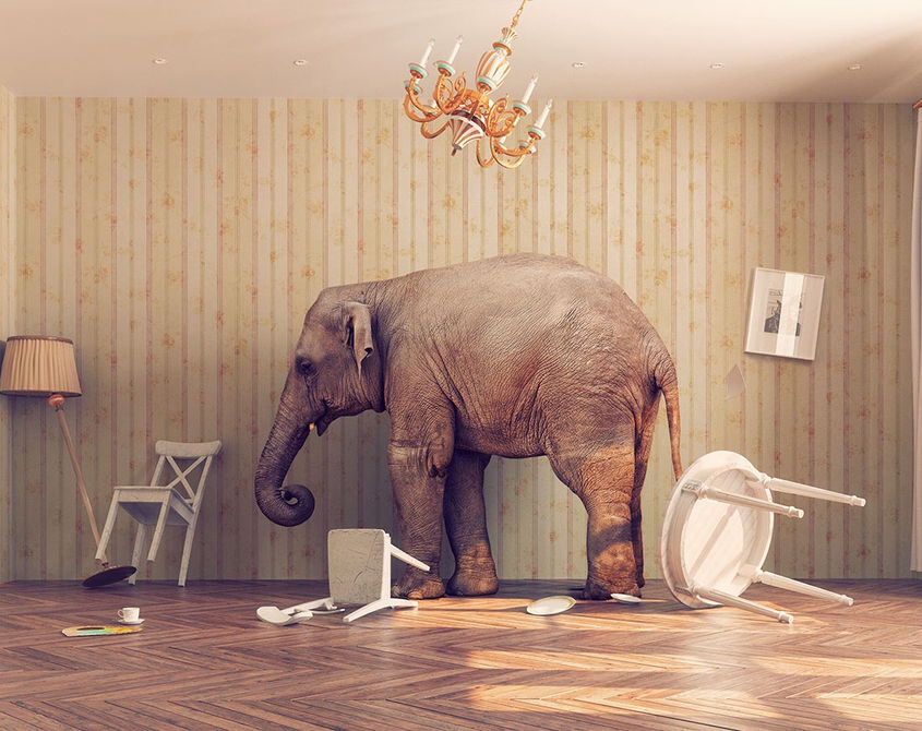 The Poltergeist Elephant in the Room: The call for a paranormal renaissance