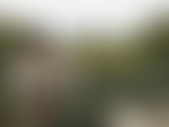 Die Weinlese 2020 geht zu Ende