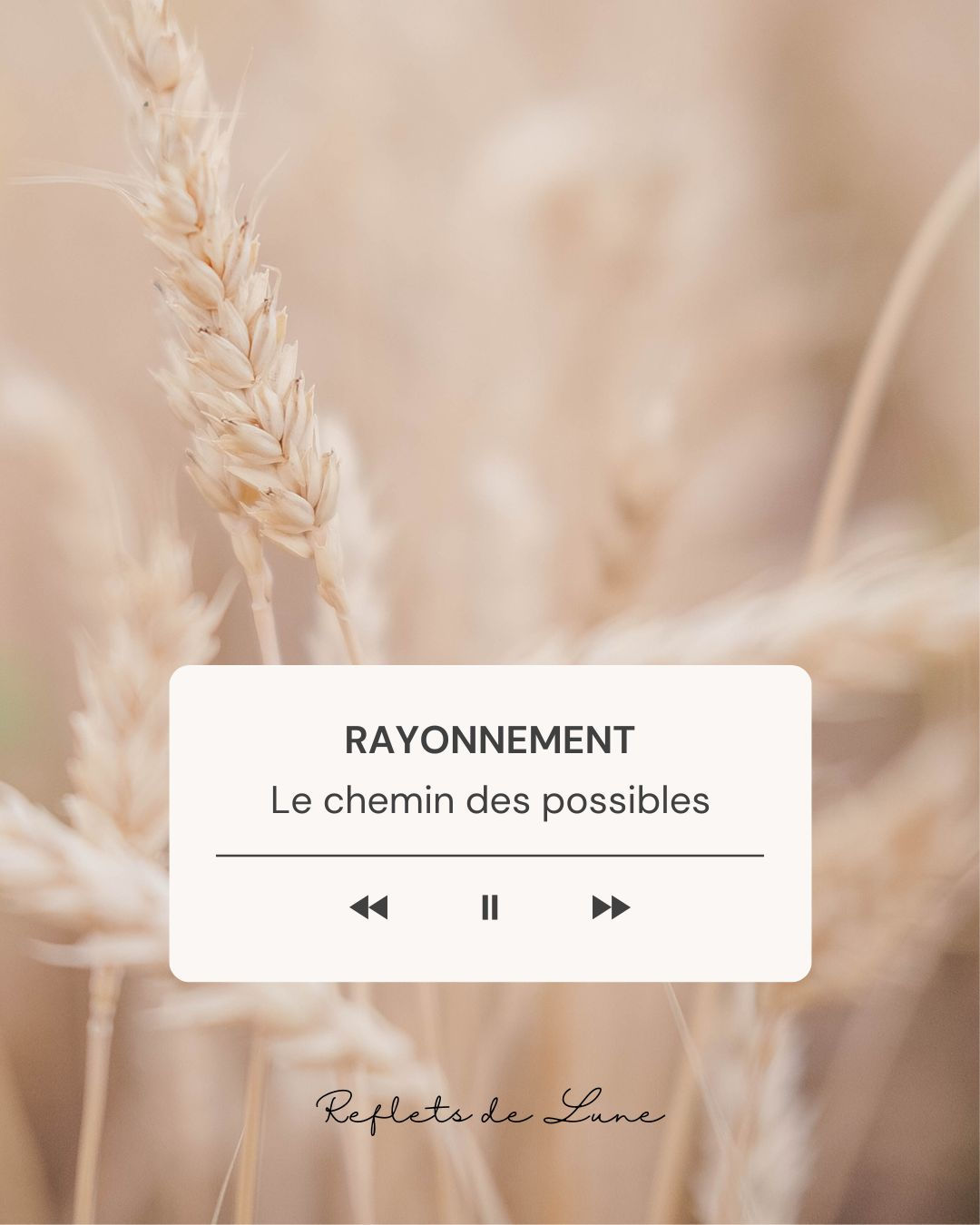 séance de sophrologie le chemin des possibles