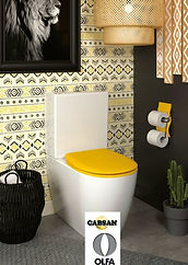 accessoires sanitaires CABSAN FRANCE-abattant olfa
