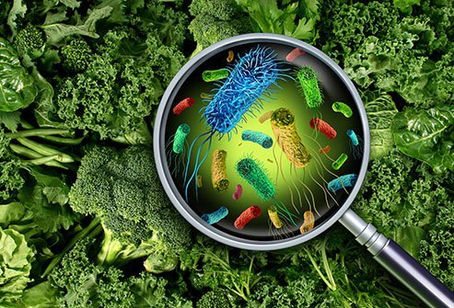 September: National Food Safety Education Month