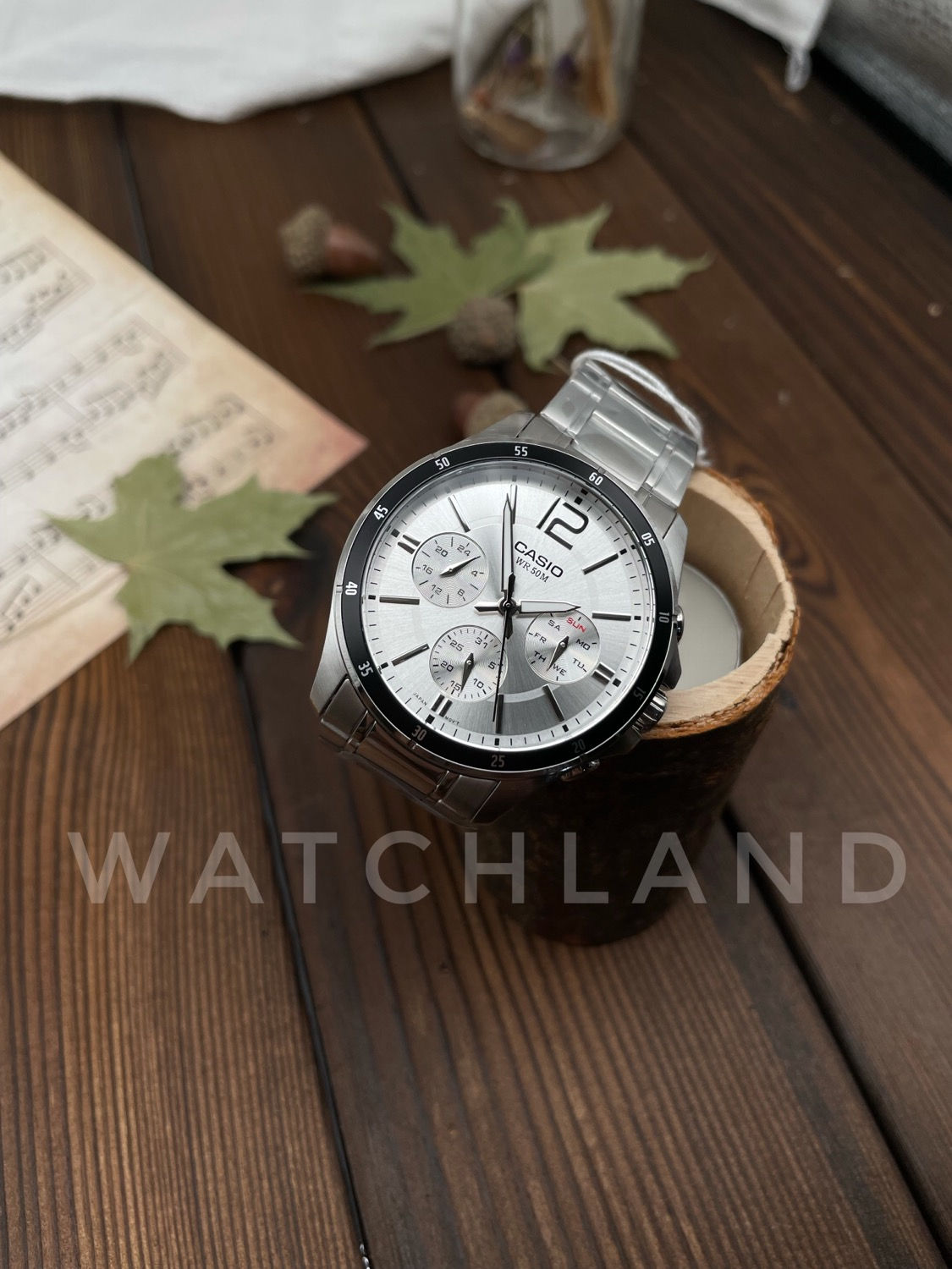 Casio stainless steel 