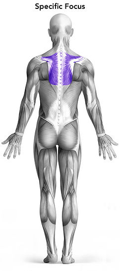 Seated Cable Row