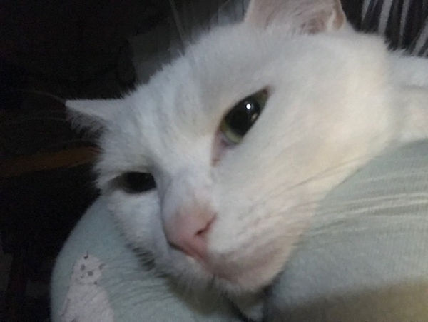 image5.jpeg