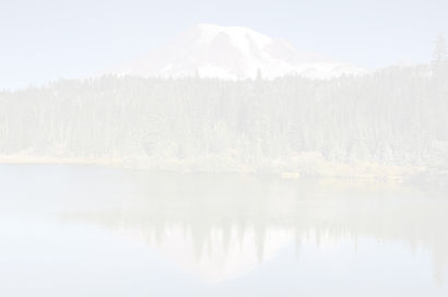 wastate-background.jpg