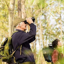 The middle-aged and elderly tourism market is warming up