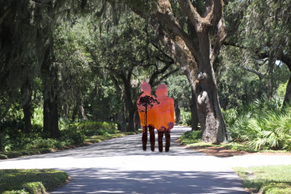 Tree Archway and Sunset Scene.png