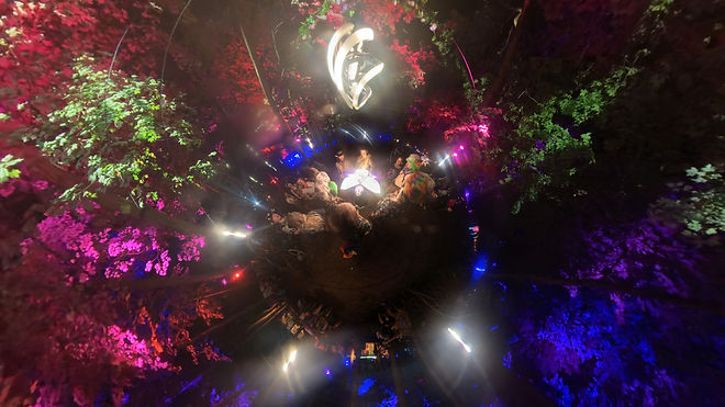 A 360 photo of the luminous grove led installation at secret dreams