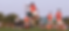 2025V_Def_Action1_edited_edited.png