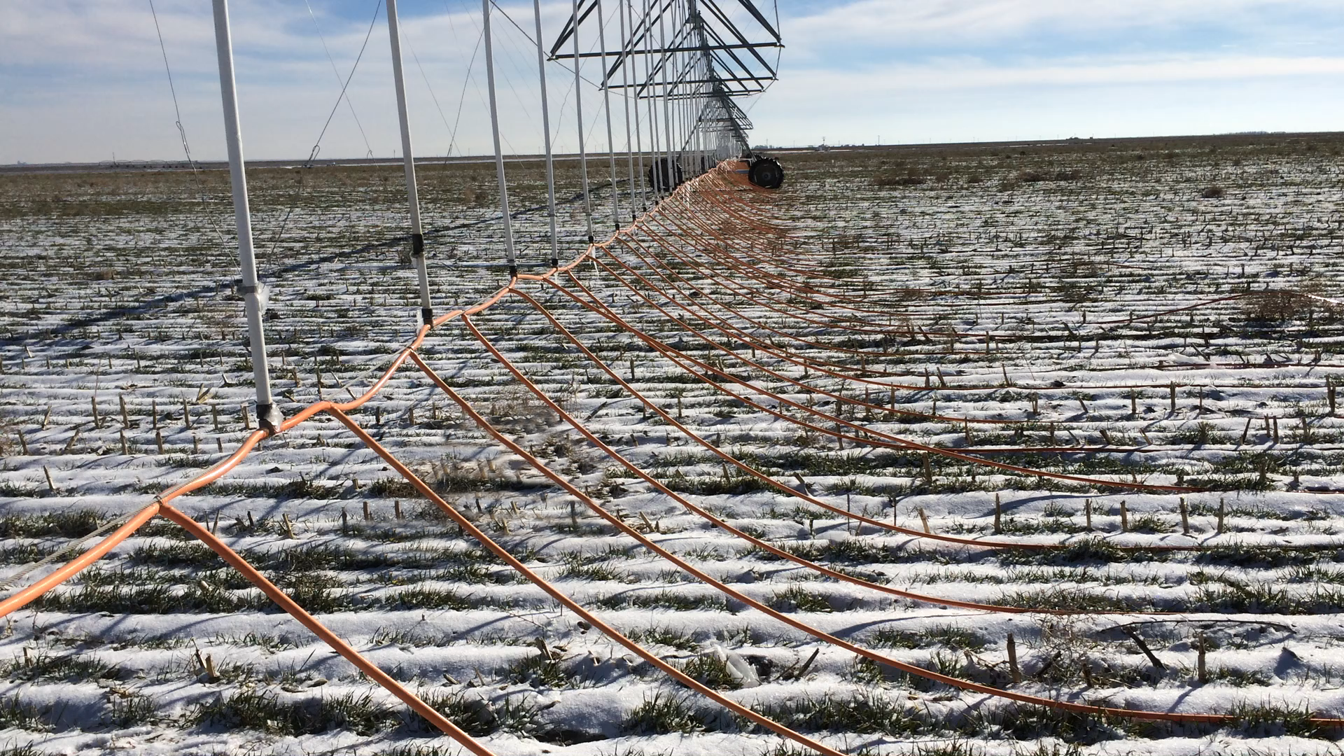 LOW LINE WINTER WATERING