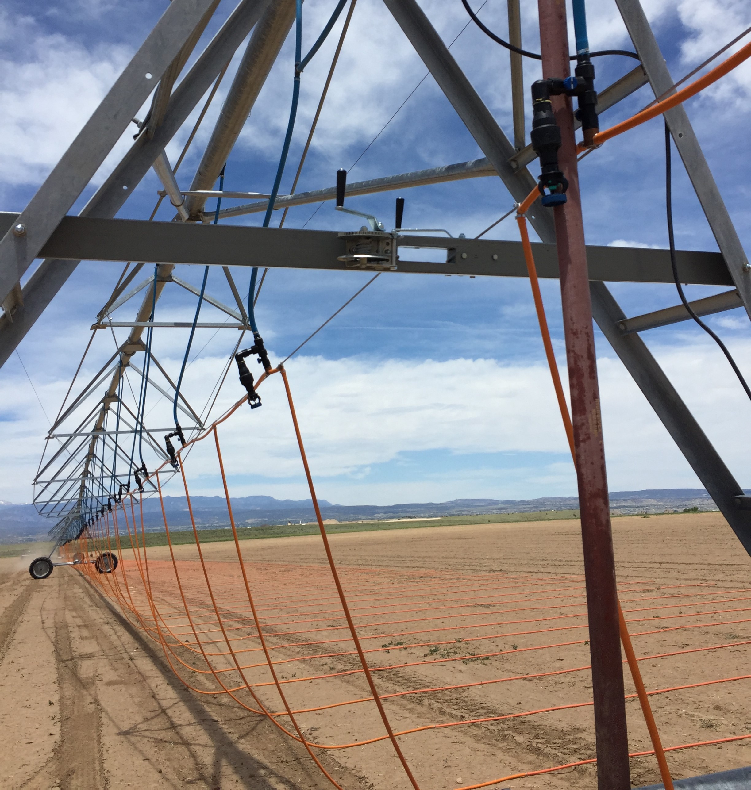 LOW LINE ON HEMP