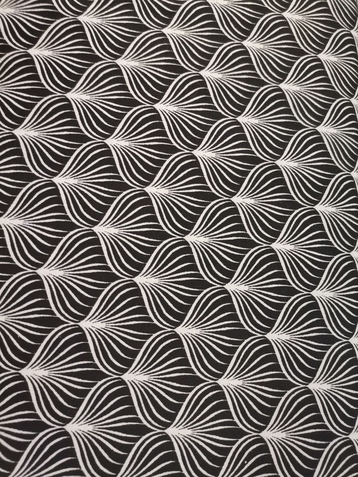 Algodón Dandelion negro