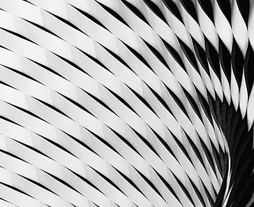 Twisted Wall