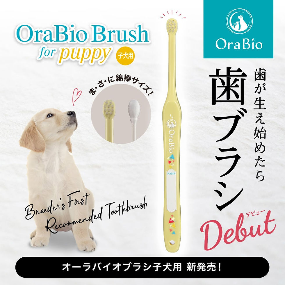 サムネイル： ［オーラバイオ］歯ブラシ（子犬用）