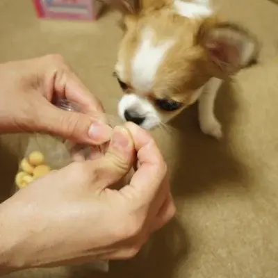 サムネイル： ［アニウェル］スナック（20g×3袋）