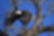 490535460_705114899134596_2216919521200769115_n.jpg