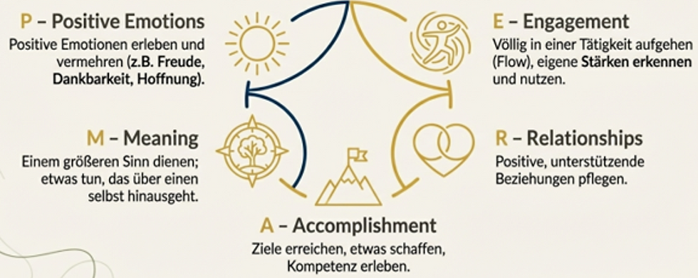 PERMA Visualisierung