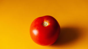 Eine Pomodoro Tomate