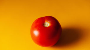 Eine Pomodoro Tomate