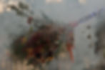 Witch’s Broom Dried Floral Workshop