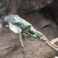 S__10534982.jpg