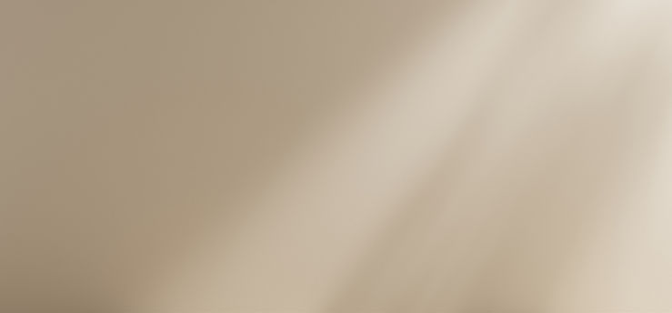 Website templates_edited.jpg