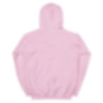 Thumbnail: MSC Unisex Hoodie
