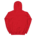 Thumbnail: MSC Unisex Hoodie