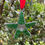 Thumbnail: Star Ornament