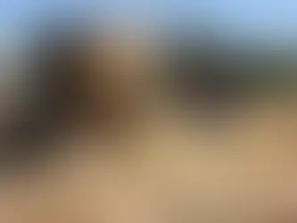 الإصلاح الزراعي... حين تأخّرت الدولة فاستملكت الأرض وقتلت الواحة #10