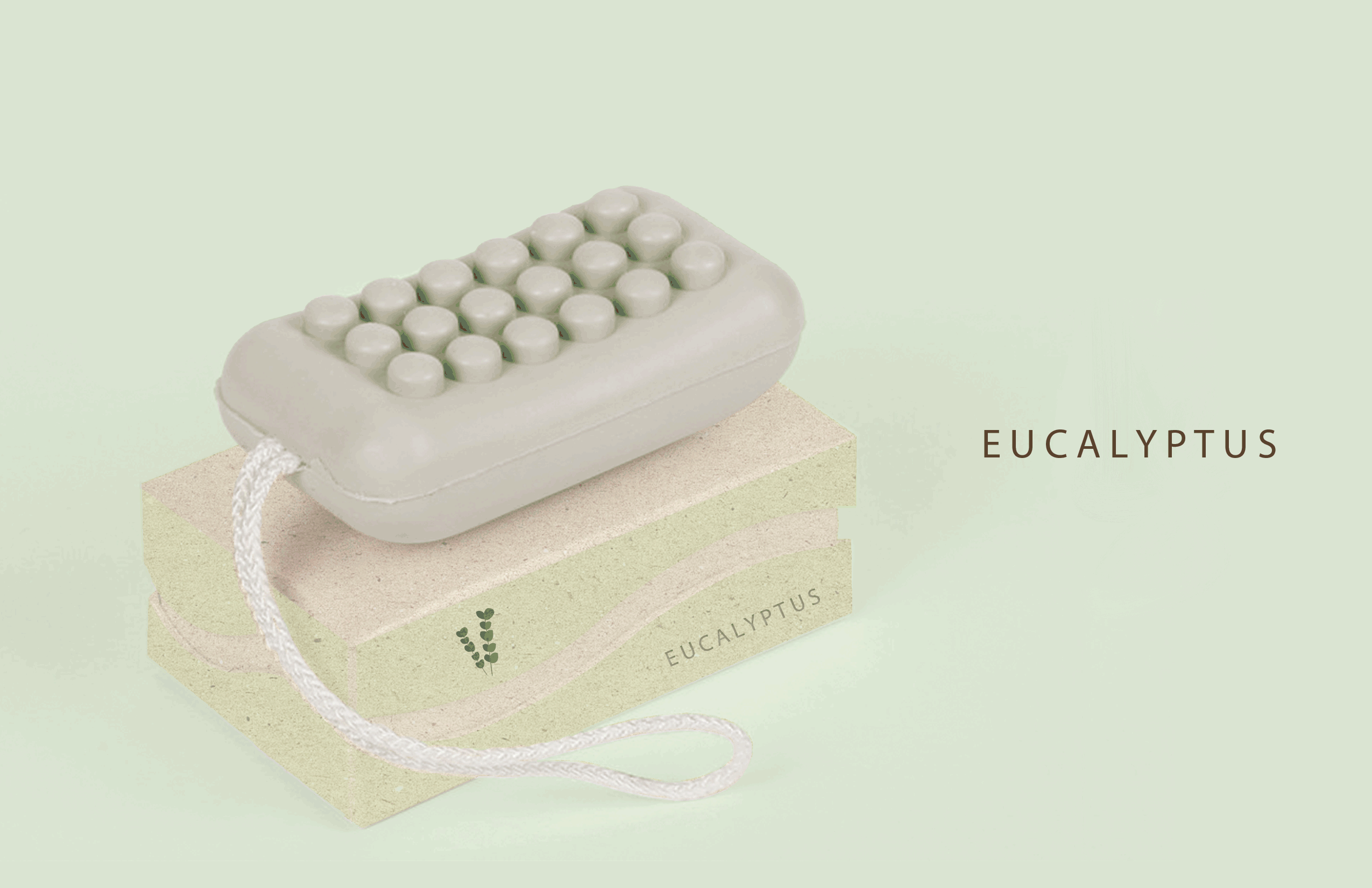 Biodegradable Soap Packaging.gif