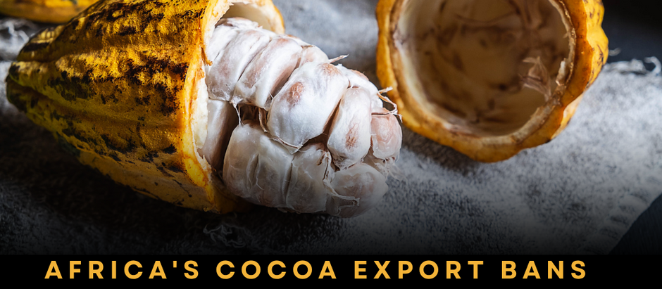 African Cocoa Export Bans: Beyond the Abuja Declaration Headlines
What Actually Happened