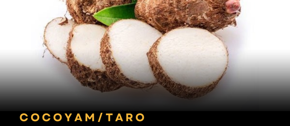 Cocoyam / Taro: The Continent's Most Undervalued Staple - Inside Africa's Ten-Billion-Dollar Blind Spot