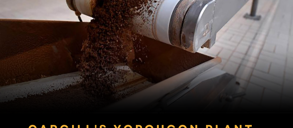Grinding Sovereignty: Inside Cargill's Yopougon Plant — Africa's Cocoa Powerhouse in Côte d'Ivoire