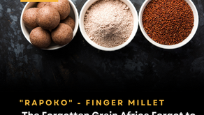 "Rapoko"- Finger Millet : The Forgotten Grain Africa Forgot to Sell to Itself
