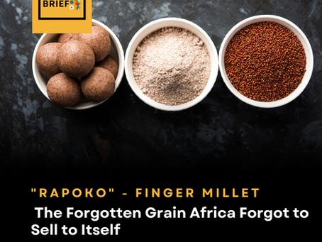 "Rapoko"- Finger Millet : The Forgotten Grain Africa Forgot to Sell to Itself