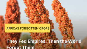 They Fed Empires. Then the World Forgot Them.