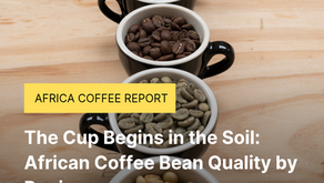 The Cup Begins in the Soil: African Coffee Bean Quality by Region