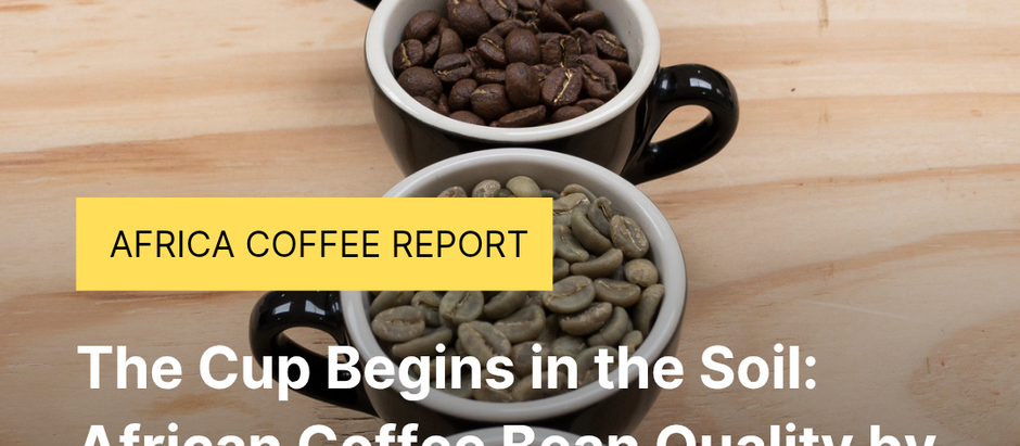 The Cup Begins in the Soil: African Coffee Bean Quality by Region