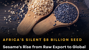 Africa's Silent $8 Billion Seed: Sesame's Rise from Raw Export to Global Backbone"