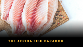 The Fish Paradox: Why Africa Feeds the World's Aquaculture Industry While Its Own People Go Fish-Hungry